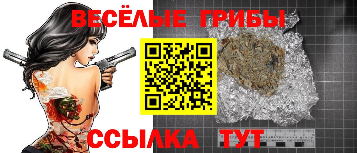 Псилоцибиновые грибы Cubensis Медногорск